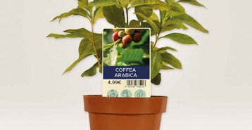 cartellini personalizzati per piante