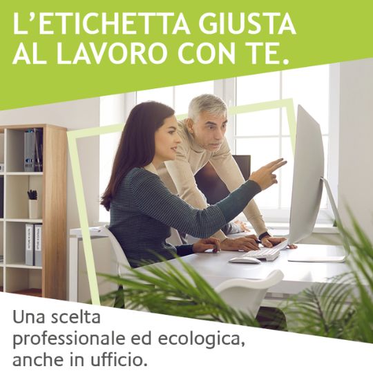 illustrazione di due persone che lavorano in ufficio