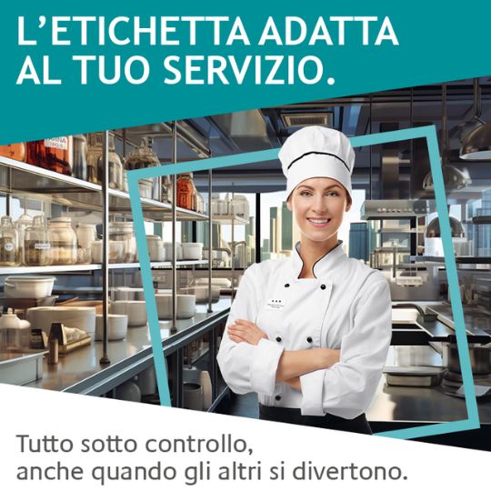 illustrazione di una donna che lavora all'interno di una cucina