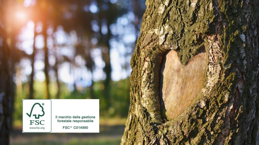 Cuore inciso su un albero con sole che splende attraverso gli alberi e logo della certificazione FSC