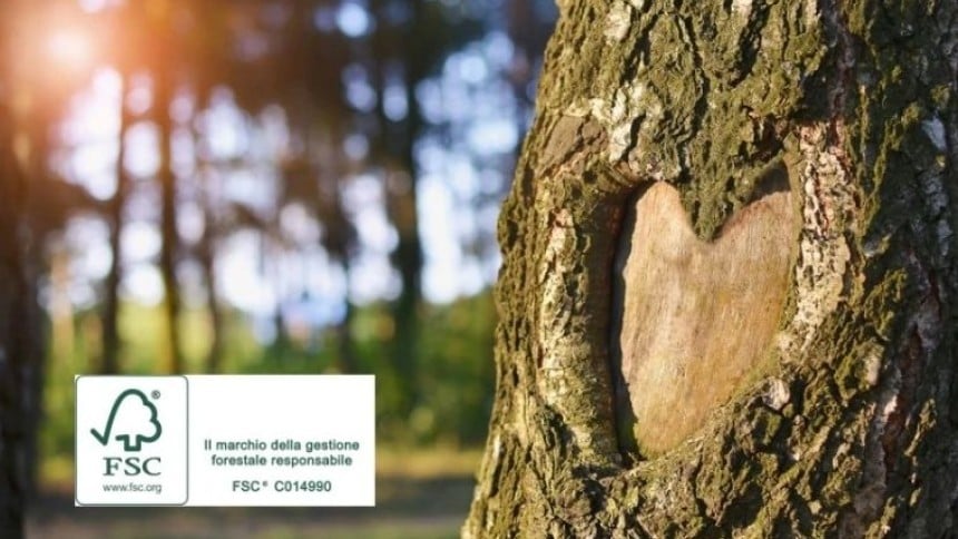 Cuore inciso su un albero con sole che splende attraverso gli alberi e logo della certificazione FSC
