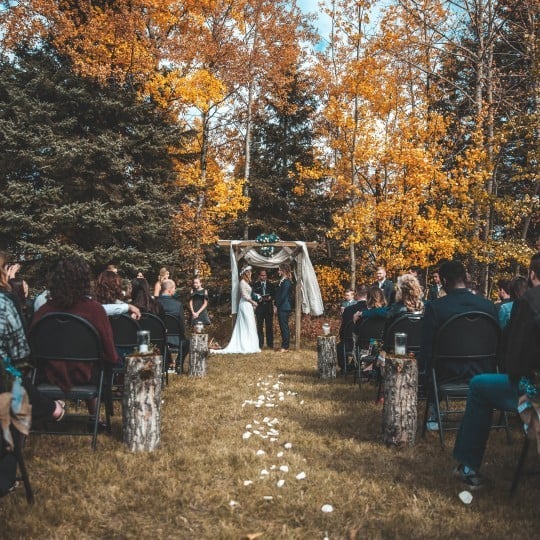 prato con decorazioni per un matrimonio