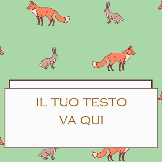 illustrazione che mostra dove posizionare il testo sul modello di un etichetta da applicare su libri e quaderni