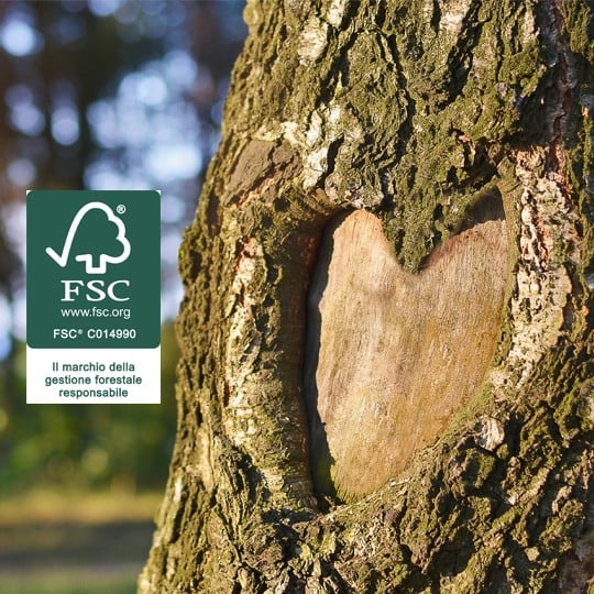 Cuore inciso su un albero con sole che splende attraverso gli alberi e logo della certificazione FSC