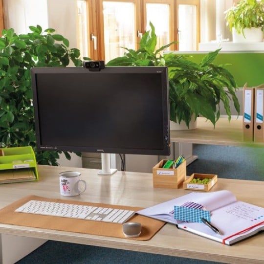 Scrivania con computer, piante, tazza di caffè e quaderni aperti vicino a una finestra con vista su un giardino.