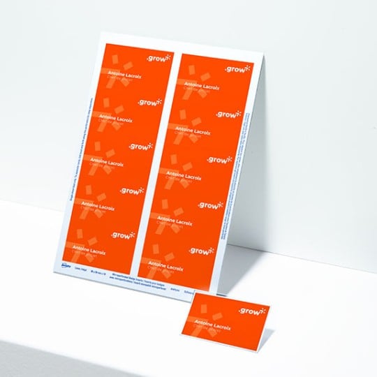 foglio di inserti in cartoncino stampati da inserire nei porta badge