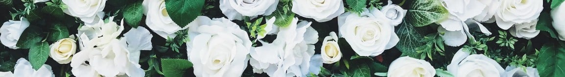 Primo piano di fiori bianchi e foglie verdi