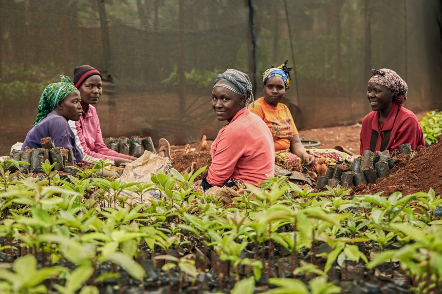 Treedm Farmers
