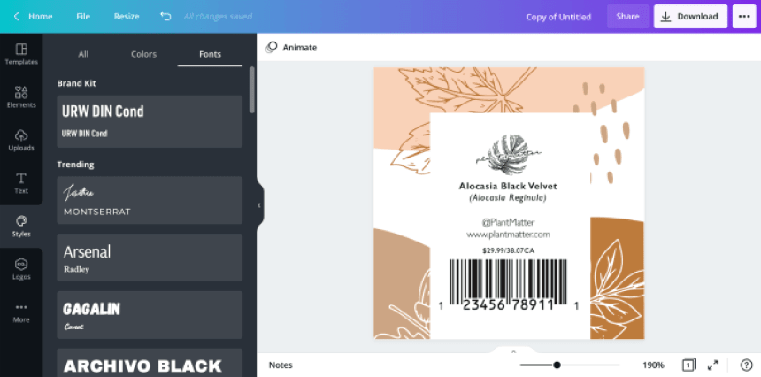 illustrazione del programma Canva