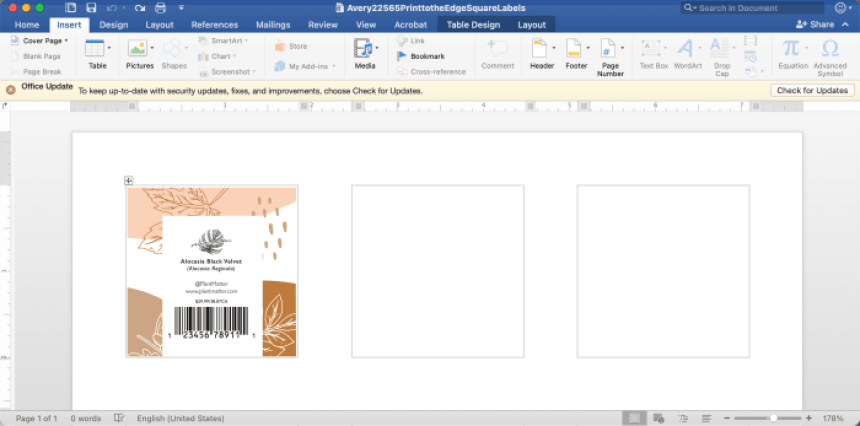 illustrazione del programma Microsoft word