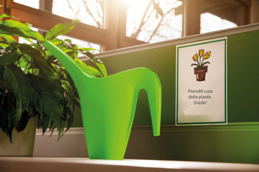 Ufficio con pianta verde e cartello di un cactus su una parete verde.