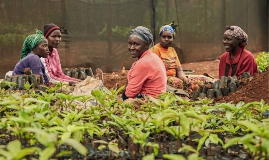 lavoratori in un orto