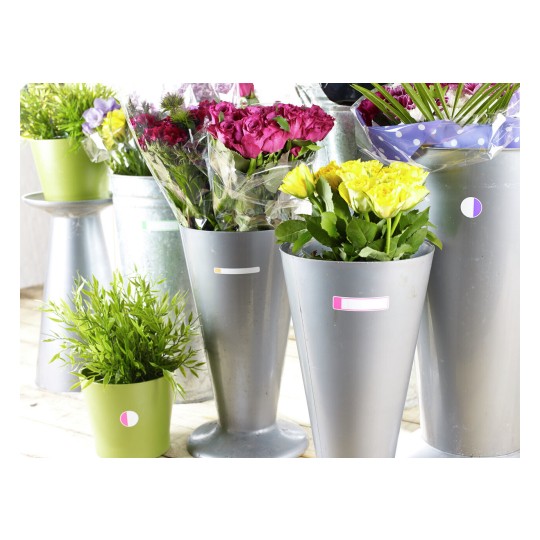 L'immagine mostra vasi di fiori colorati disposti su un pavimento in legno. Ci sono vasi metallici e uno verde, con fiori freschi e foglie verdi. Il design è vivace e accattivante, con diverse varietà di fiori in ciascun vaso.