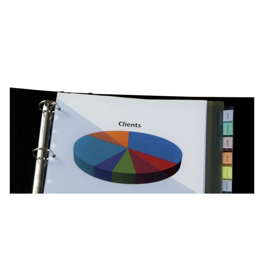 L'immagine mostra un grafico a torta con la scritta 'Clients'. Si tratta di una pagina di un raccoglitore con varie sezioni segnalate da etichette colorate.