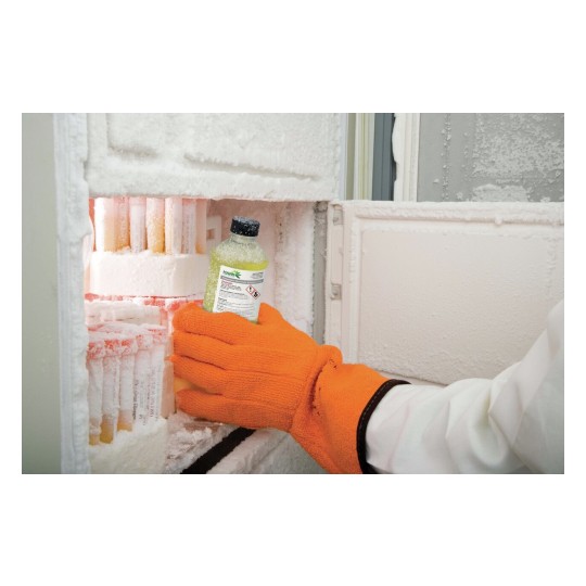 L'immagine mostra una mano che tiene una bottiglia mentre si estrae da un congelatore appannato. Il congelatore contiene anche provette ghiacciate con sostanze chimiche.