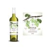 Bottiglia di vino bianco e etichetta con illustrazione di grappolo d'uva verde su sfondo bianco