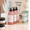 Bottiglie rosa di sapone con etichette stampate con accanto dei tubi di crema con etichette stampate