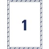 Adesivi per finestre stampabili L9001-10 210 x 297 mm